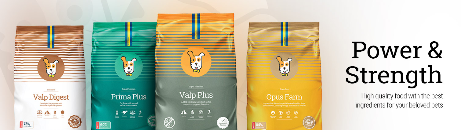 Dry Food for Dogs