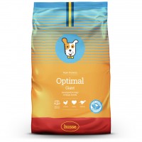 オプティマル・ジャイアント/Optimal Giant