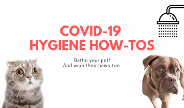 COVID-19 Hygiene How-Tos