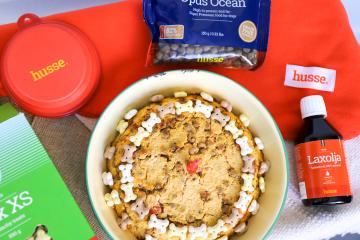 DIY Grain-Free Cake Recipes for Your Pet